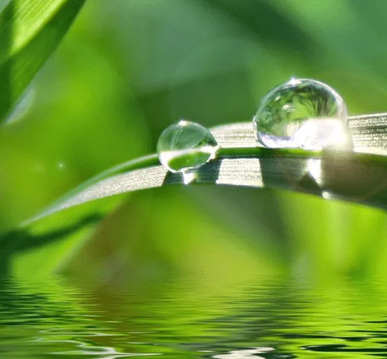 Adhere to the Strategy of Sustainable Development