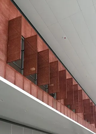 Window Guards