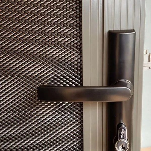 Heavy duty DVA mesh security door