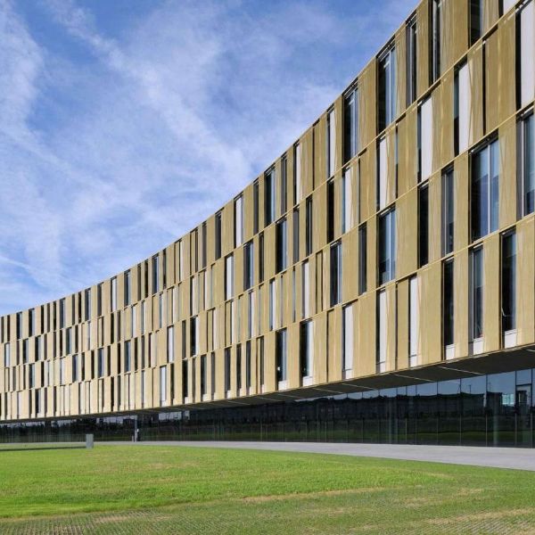 Golden expanded metal sunshades are installed outside the office building.